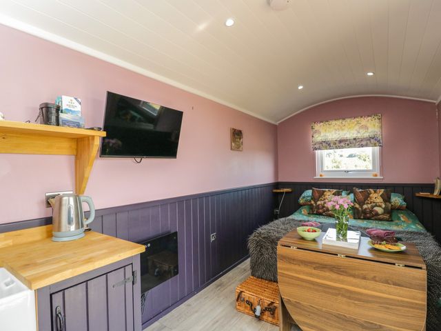 Hares Hideaway Shepherd's Hut - 1199362 - photo 5