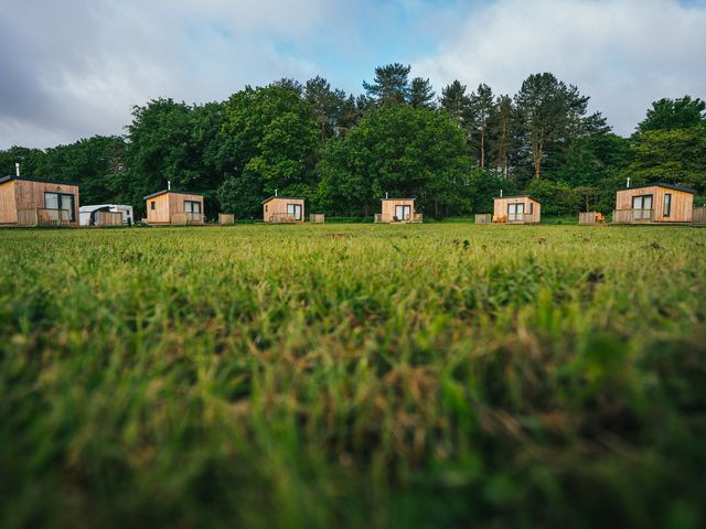 A row of cabins in a grassy area at Sherwood - Cosy Pod 3 in Mansfield