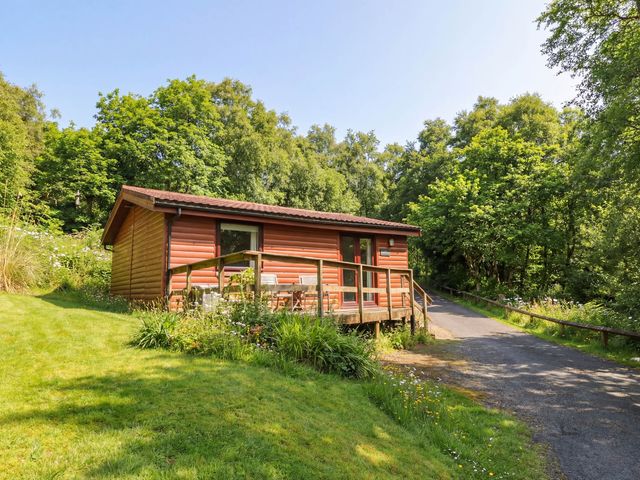 A cabin with a deck and garden area at Thistle Lodge in Dunoon