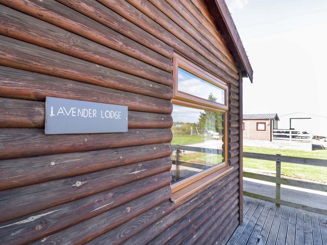 Lavender Lodge - 1201019 - photo 3