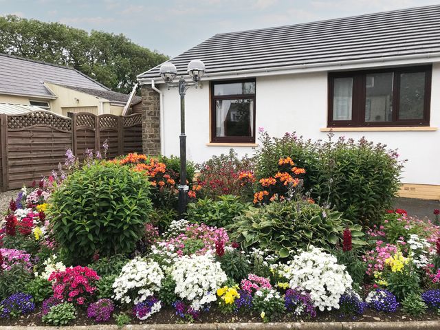A garden with flowers and a light post at Harvest Hill in Letterston