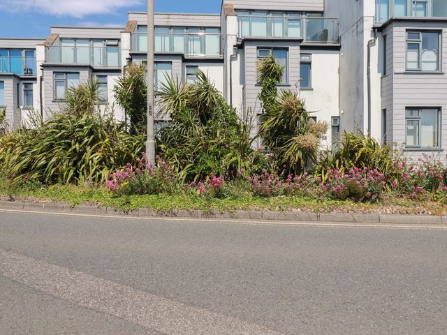 A view of buildings and plants along a road at Cwtch Treth in Newquay