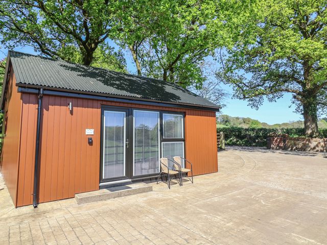 Willow - 1202736 - photo 1 