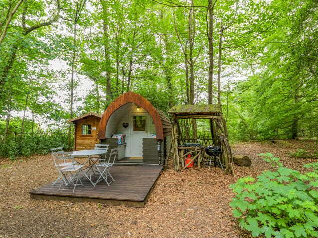 A garden with a cabin, outdoor table and chairs at Bluebell Glamping Pod in Woolton Hill
