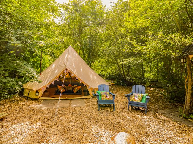 Jungle Bell Tent - 1202864 - photo 2
