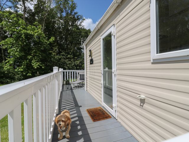 Forest Retreat - FO26 - 1203030 - photo 3
