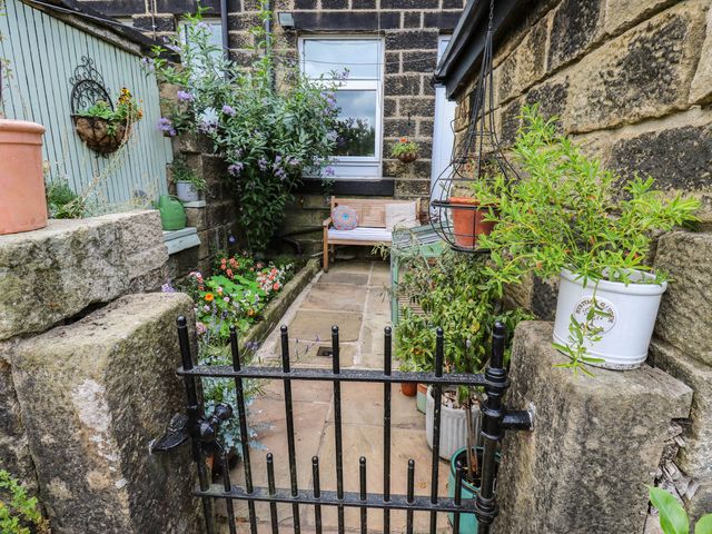 A garden with flowers and a bench at 10 Park Road