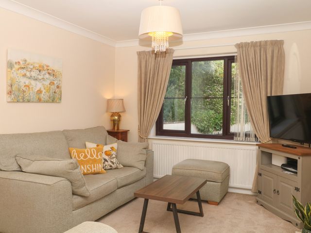 Clayfields - 1203976 - photo 5