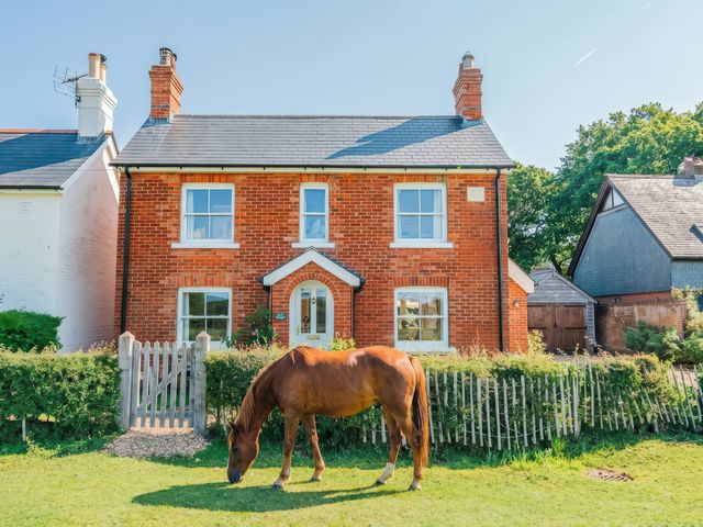 A house with a horse in the garden at TBC 