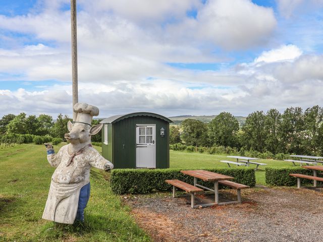 Shepherds Hut at East Hill Pride - 1204360 - photo 3