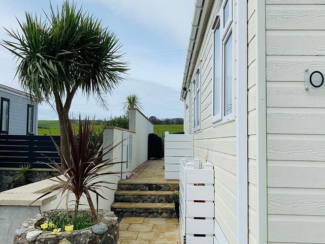 An outdoor pathway with steps and a plant at O7 in Abersoch