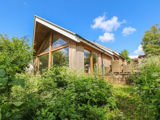 Yew Tree - 1204783 - photo 3