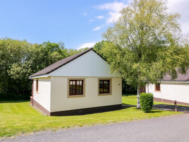 A house with windows and a tree in the yard at 7 Brunston Avenue