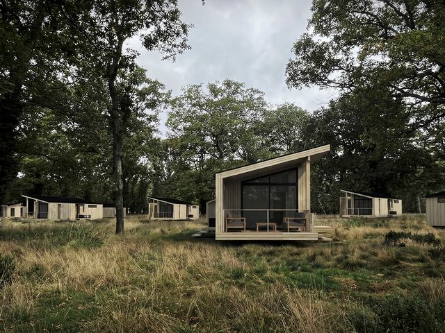 Wooden houses in a grassy area at Arbora 2.0 Spa (Pet) Malvern