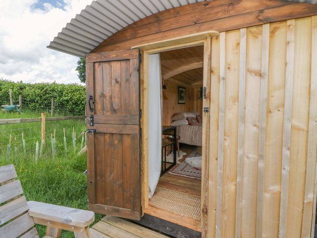The Little Shepherds Hut with a View - 1205648 - photo 4