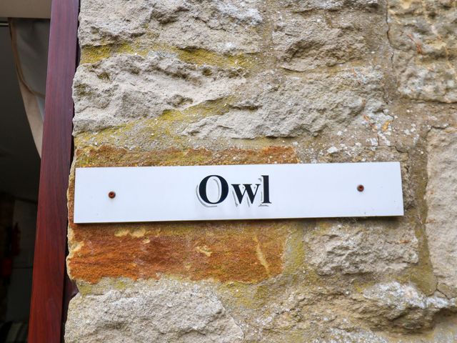 Owl - 1205921 - photo 2