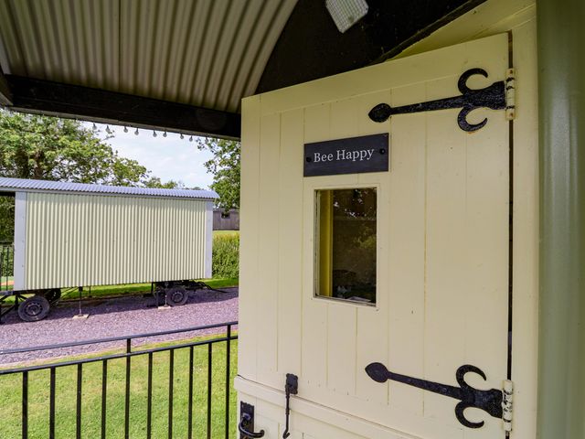 Bee Happy - 1205937 - photo 2