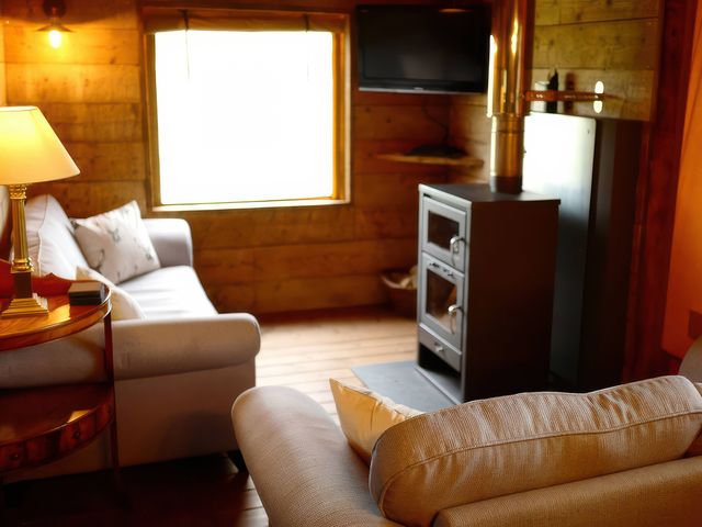 Luxury Safari Lodge Sleeps 4/6 Deer Park Dogs Ok - 1205997 - photo 3