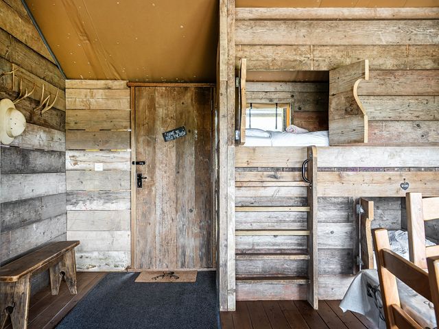 Luxury Safari Lodge Sleeps 4/6 Deer Park Dogs Ok - 1205997 - photo 3