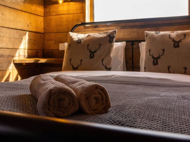 Luxury Safari Lodge Sleeps 4/6 Deer Park Dogs Ok - 1206001 - photo 5