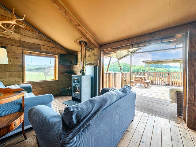 Luxury Safari Lodge Sleeps 4/6 Deer Park Dogs Ok - 1206001 - photo 5