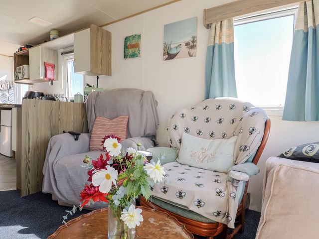 Beech Walk 3 - 1206846 - photo 5