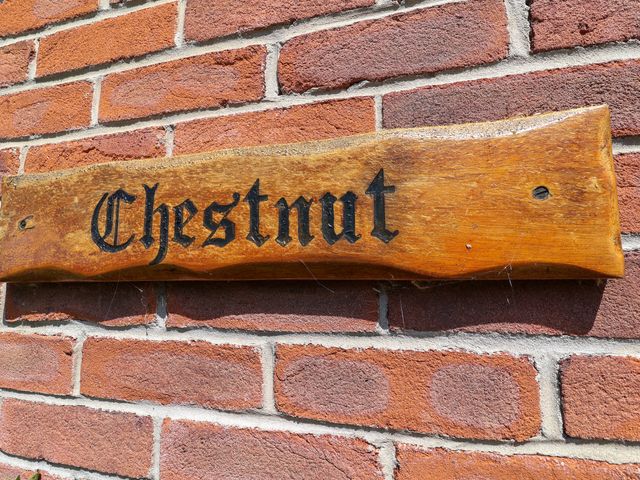 Chestnut - 1207038 - photo 2