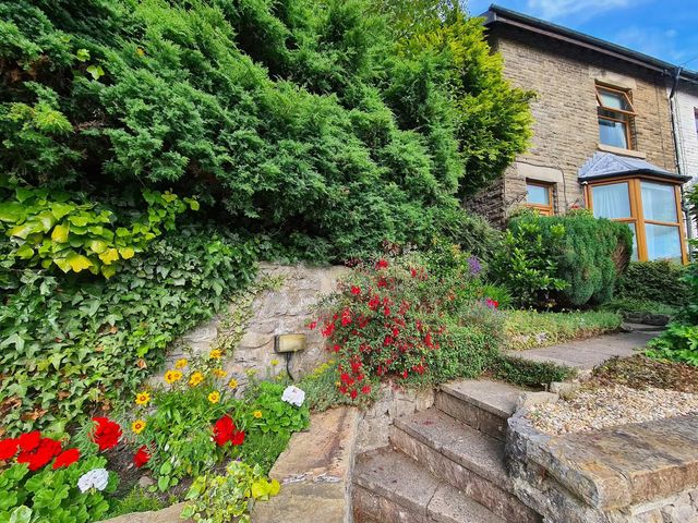 An outdoor area with flowers and steps at a residential property