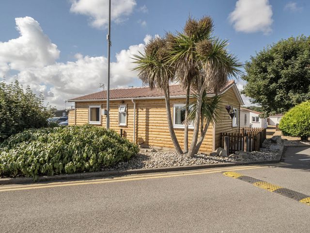 A log cabin with palm trees and a hedge at Seaside Chalet Retreat in Bridlington