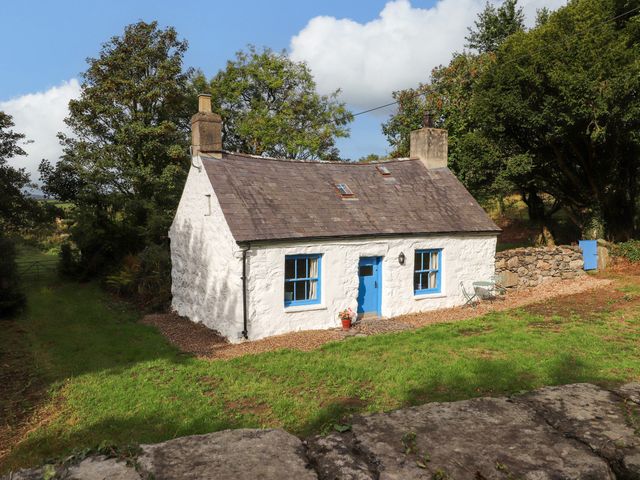 A house with a blue door and windows surrounded by greenery at Felin Bach Aberdaron