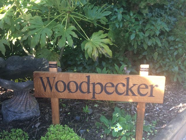 Woodpecker Lodge - 1209753 - photo 2