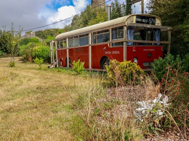 A bus surrounded by grass and bushes at Honey Bee Bus in Menheniot