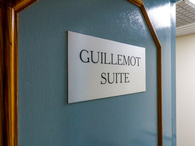Guillemot - 1212467 - photo 4