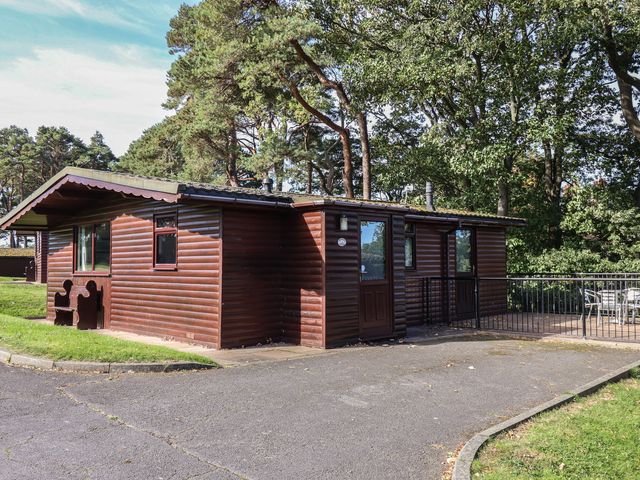 A cabin exterior with a deck and trees at Primrose Lodge Saltburn-by-the-Sea