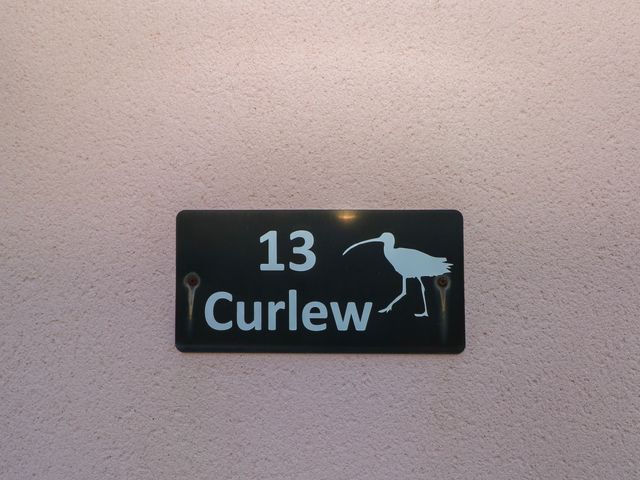 Curlew - 14393 - photo 3