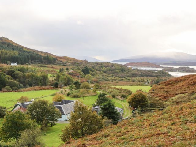 Darach - 16245 - photo 2