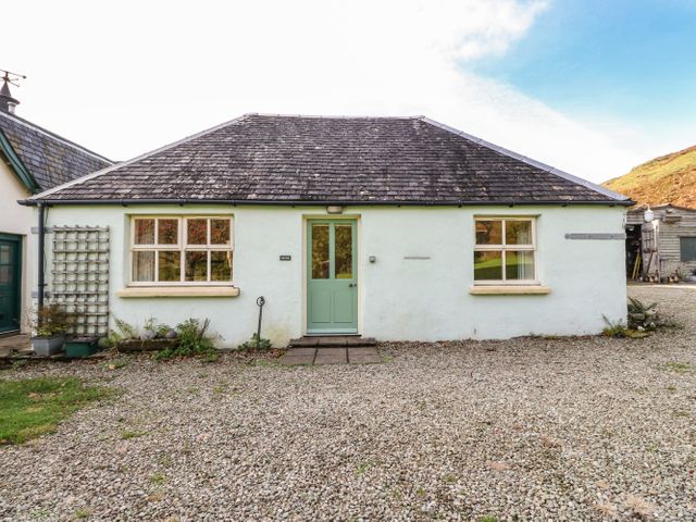 Darach - 16245 - photo 3