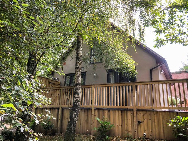 Treetops - 16749 - photo 1 