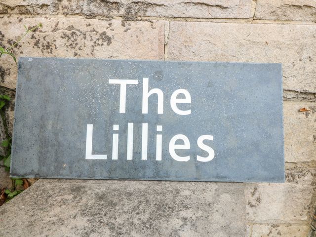 The Lillies - 17875 - photo 2