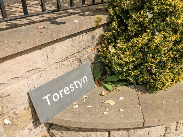 Torestyn - 17876 - photo 2