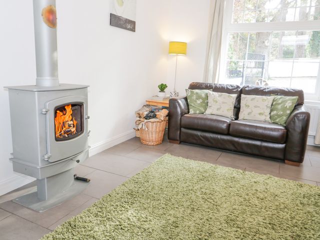Mountain View - 22625 - photo 5