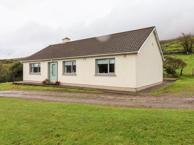 Lyreboy - 23463 - photo 2