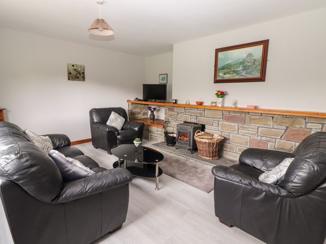 Lyreboy - 23463 - photo 3