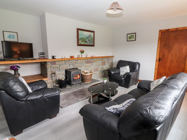 Lyreboy - 23463 - photo 4