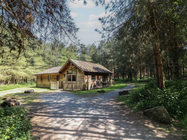 A wooden cabin surrounded by trees with a gravel driveway at Birch Lodge in Rosliston