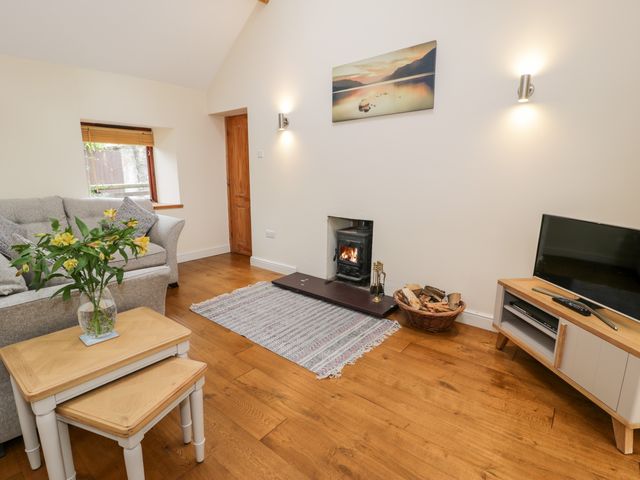 Ty Taid - 24543 - photo 3