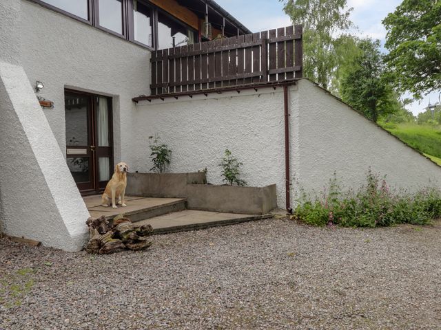 Katchana - 2666 - photo 3