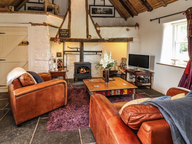 New Thatch Farm - 28611 - photo 5