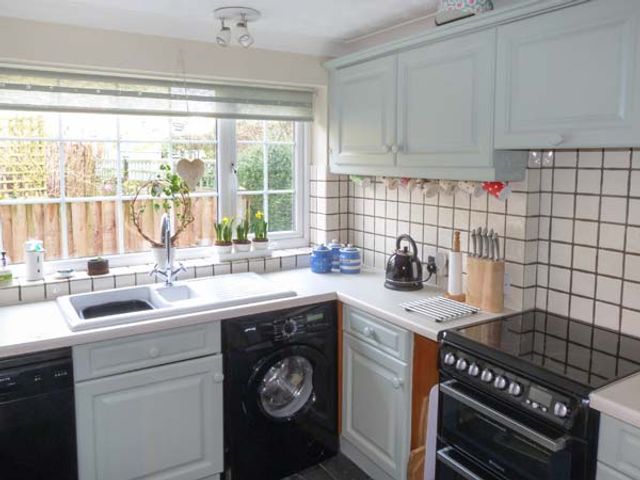 Ted's Place - 29247 - photo 5