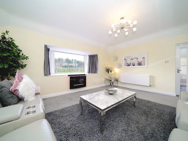 Lower Lodge - 29336 - photo 4